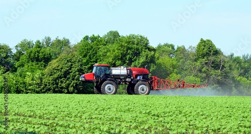 The tractor sprays young sprouts of sunflowers from pests on the field on a spring sunny day.