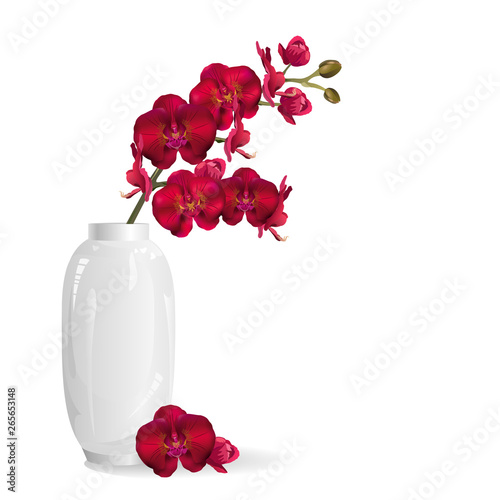 Red orchid flowers in white vase. Realistic vector illustration on white background.