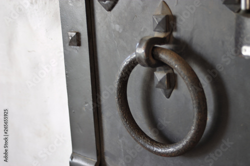 Obraz na plátně iron door with handle-ring