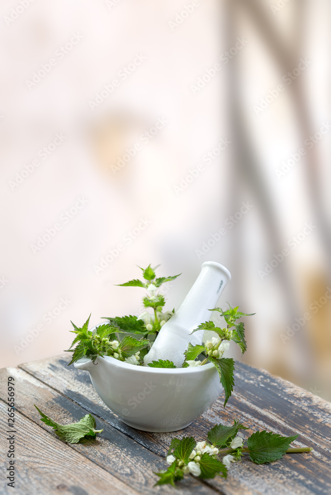 White nettle with mortar and pestle isolated on white background White nettle with mortar and pestle isolated on white background