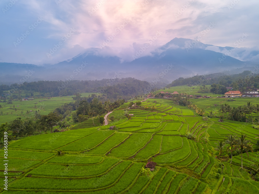 Rice Terraces and Fog in the Mountains. Aerial View