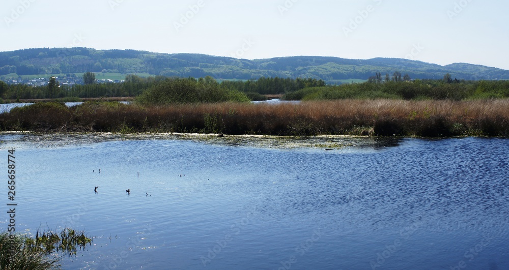 Ems,Fluss,Nordsee,Nordwesten,Westfalen,Papenburg,Kanal,am großen Torfmoor Ems,Fluss,Nordsee,Nordwesten,Westfalen,Papenburg,Kanal,am großen Torfmoor