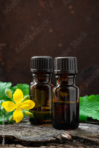 Naturopathy. Bottle tincture with a fresh plant celandine. 