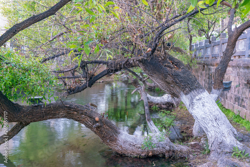 黒龍澤公園