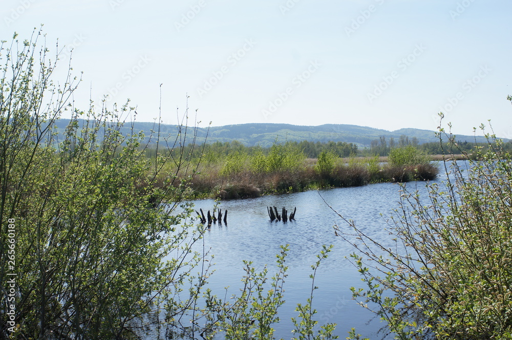 Moor;Torf;Naturschutzgebiet,sea,lake