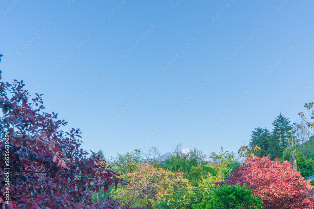 黒龍澤公園 黒龍澤公園