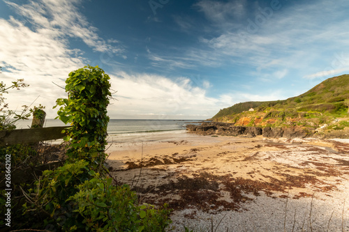 Lannacombe Beach Vista.