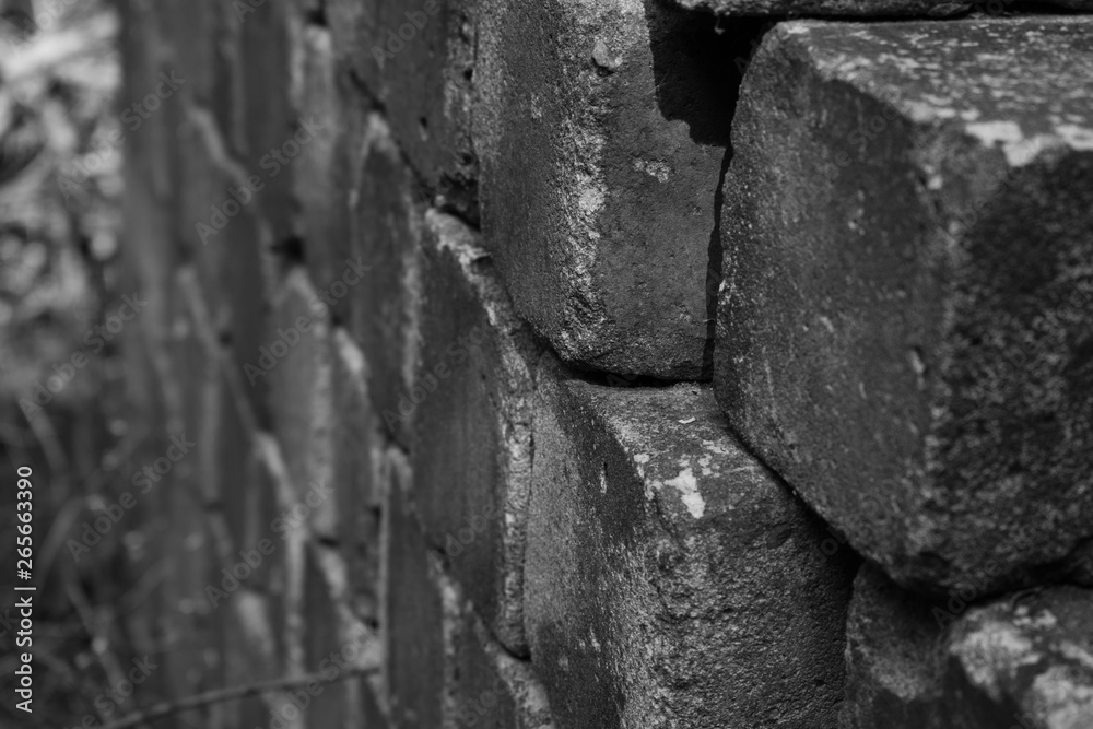 wall wall