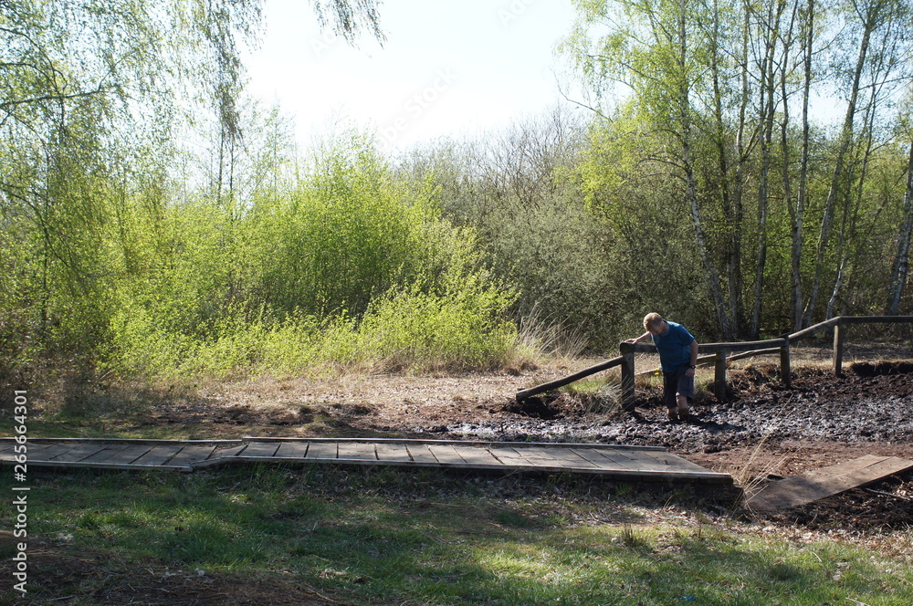 Obraz premium SONY DSC