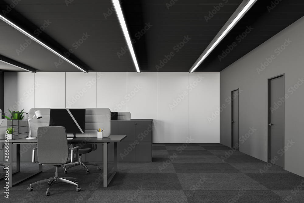 Fototapeta premium White and gray open space office with doors