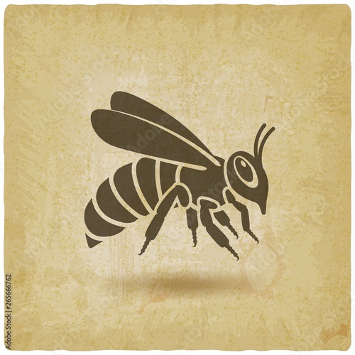 Honey bee silhouette on vintage background