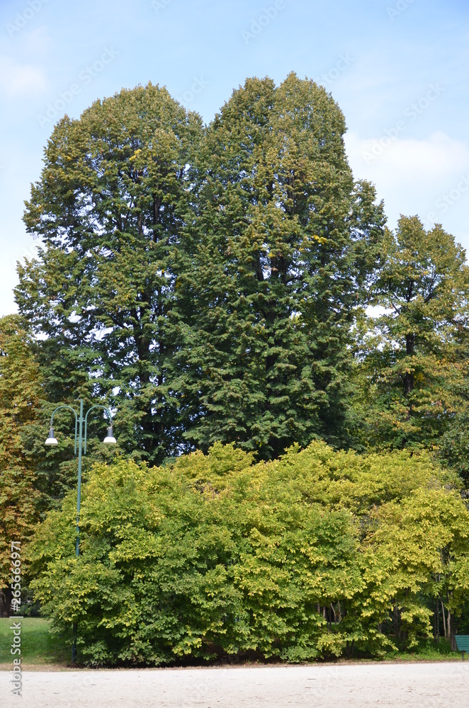 Naklejka premium Parco Sempione in Milan 