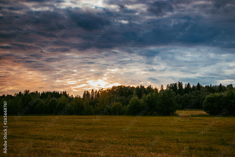 Summer field landscape. Russian open spaces. Field and sky field background Summer field landscape. Russian open spaces. Field and sky field background