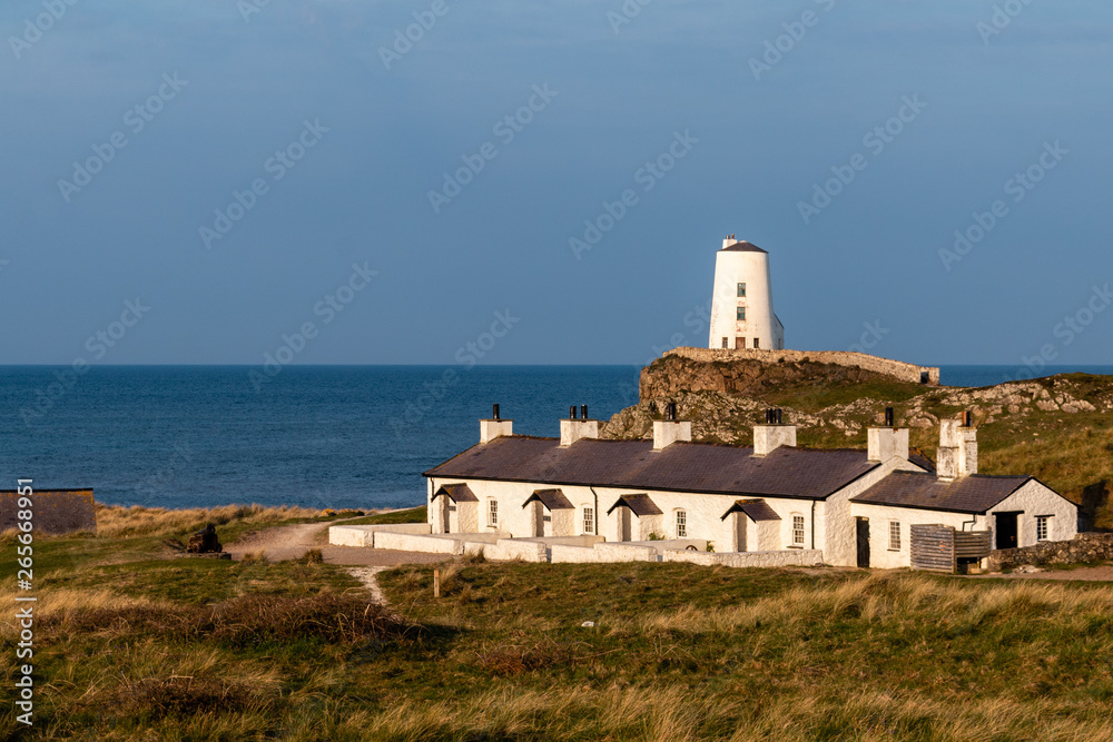 Lighthouse and cottages on coast