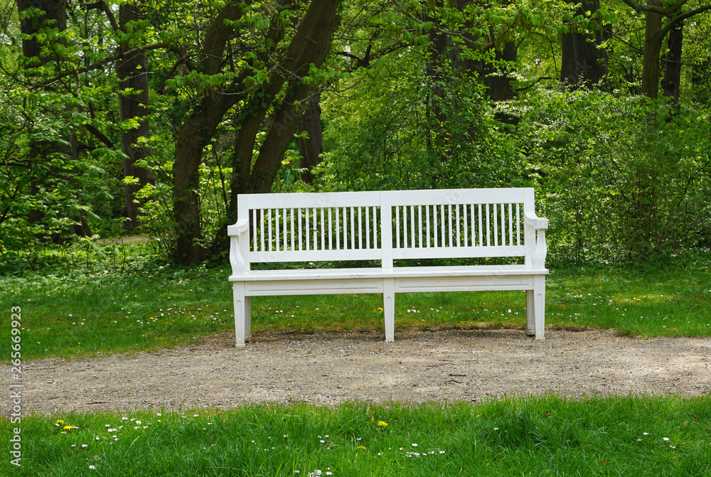 weiße Bank im Park unter Bäumen weiße Bank im Park unter Bäumen