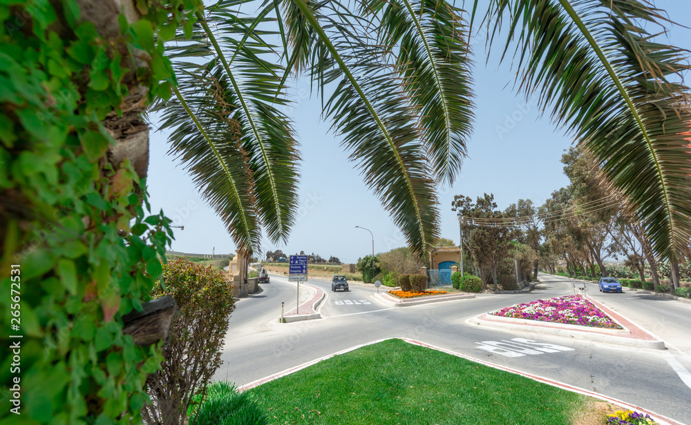 Fototapeta premium Flowers arrangement and roundabouts 