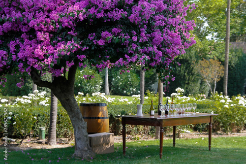 Degustação de vinhos na vinicula em Santiago do Chile
