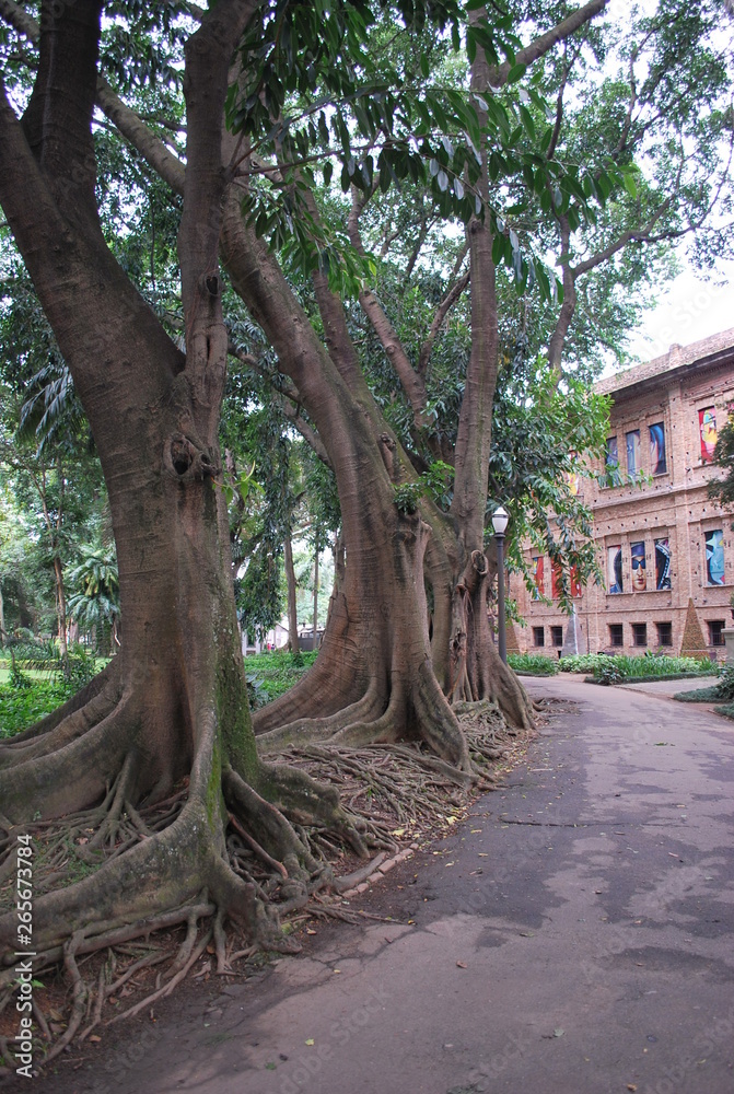 Fototapeta premium PINACOTECA DO ESTADO DE SÃO PAULO - BRASIL