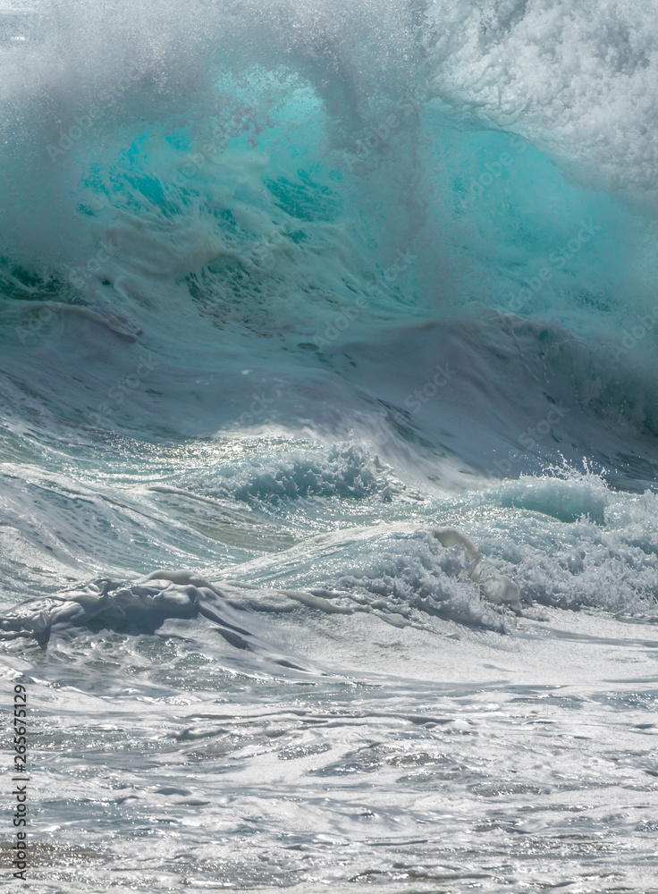 Breaking Ocean Wave in Hawaii