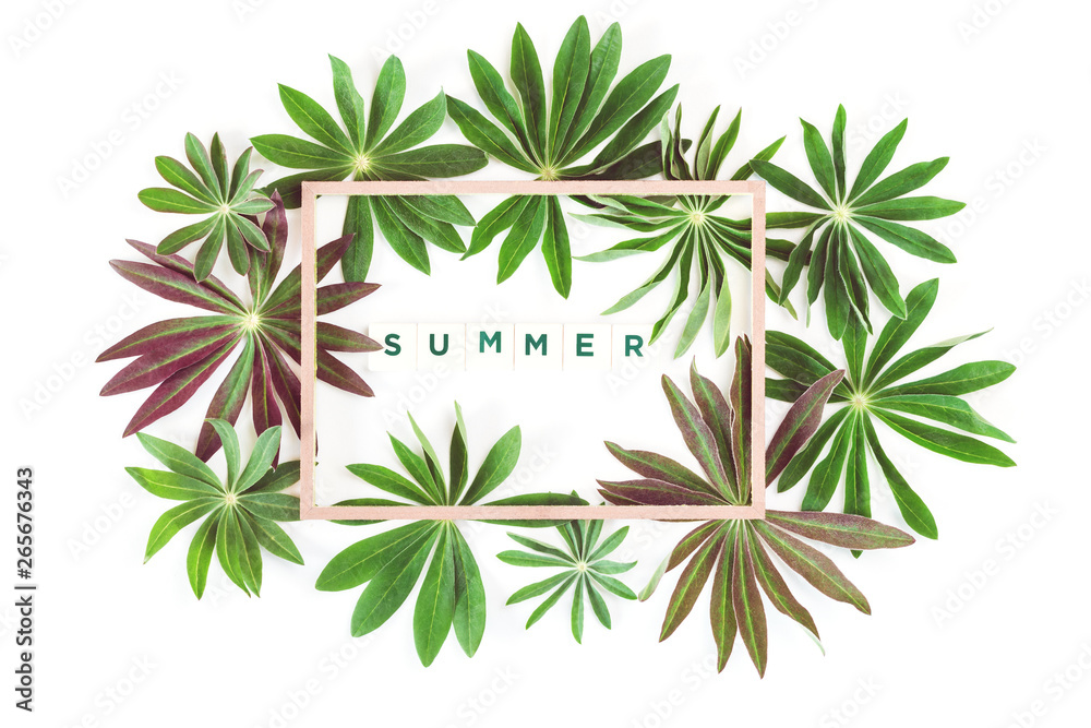Exotic green lupin leaves with wooden frame or border and word or sign Summer isolated on white background. Green eco season concept