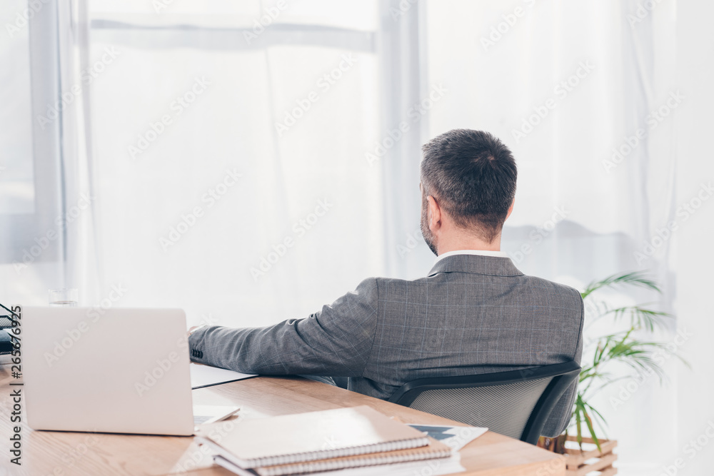 Back view of businessman sitting at table with laptop in office