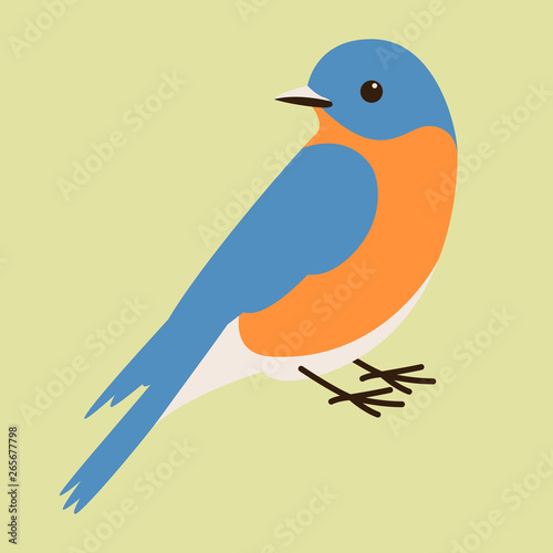 bluebird vector illustration,flat style, profile