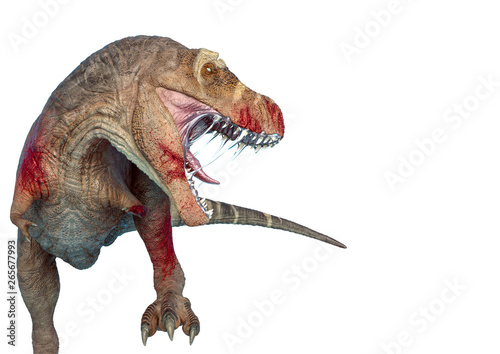 tyrannosaurus rex in white background