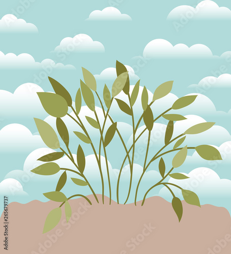 plant of garden planted