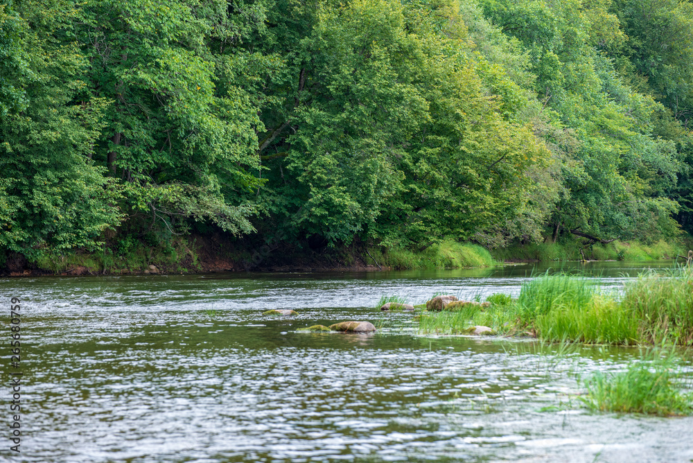 calm countryside river in autumn