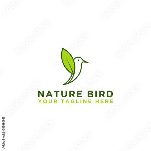 Logo design icon bird vector template logo, vector 