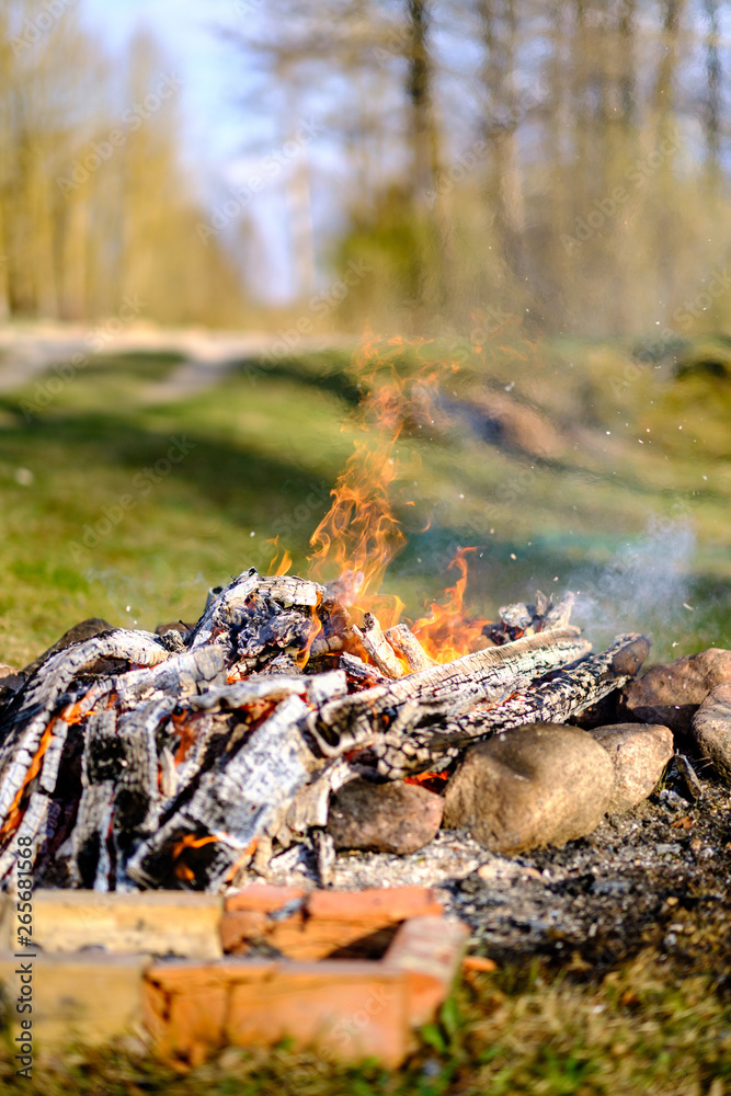 open fire burning logs in field with green grass open fire burning logs in field with green grass