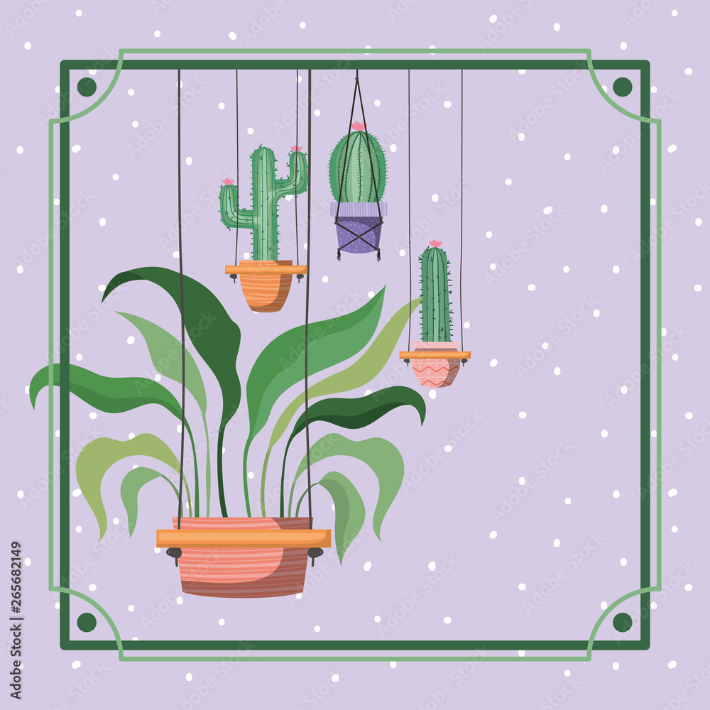 frame with houseplants and cactus hanging in macrame