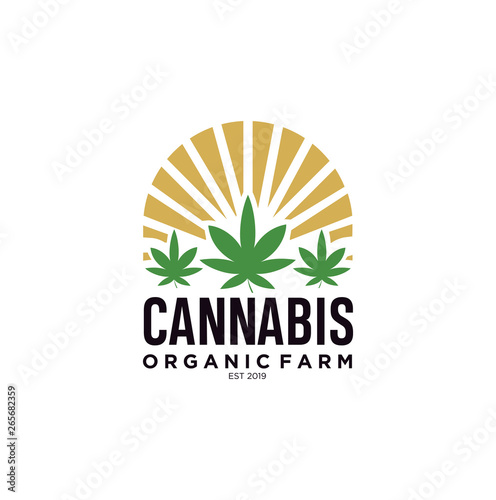 Three Cannabis with Sun Logo Design Template. Pot Leaf, Hemp in circle shape logo design inspiration vintage Retro Hipster