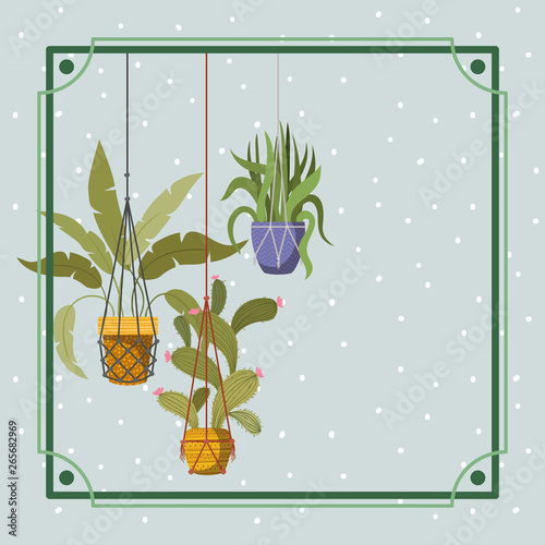 frame with houseplants hanging in macrame