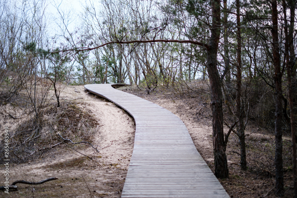 wooden plank boardwalk near sea in the dunes wooden plank boardwalk near sea in the dunes