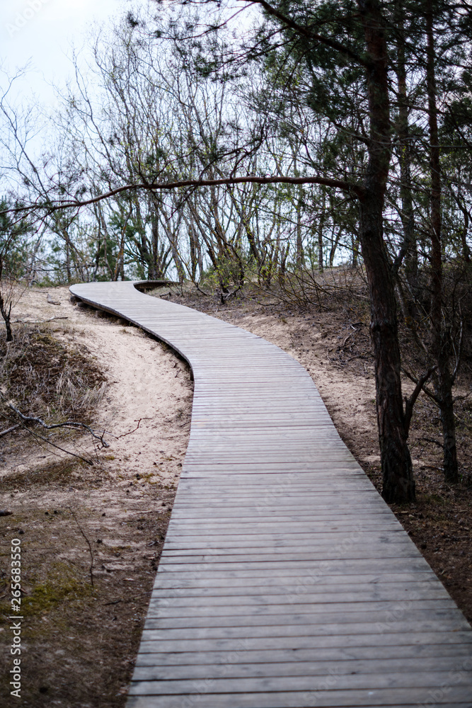 Obraz premium wooden plank boardwalk near sea in the dunes