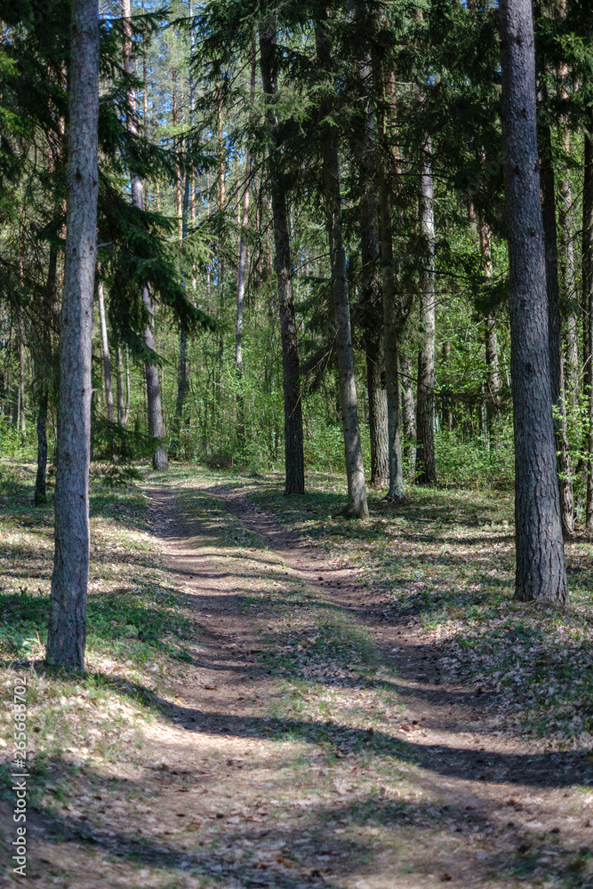 beautiful gravel road in countryside beautiful gravel road in countryside