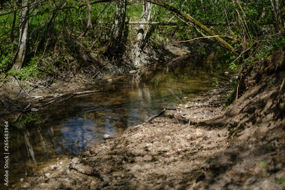 rock covered river bed in forest with low water level rock covered river bed in forest with low water level