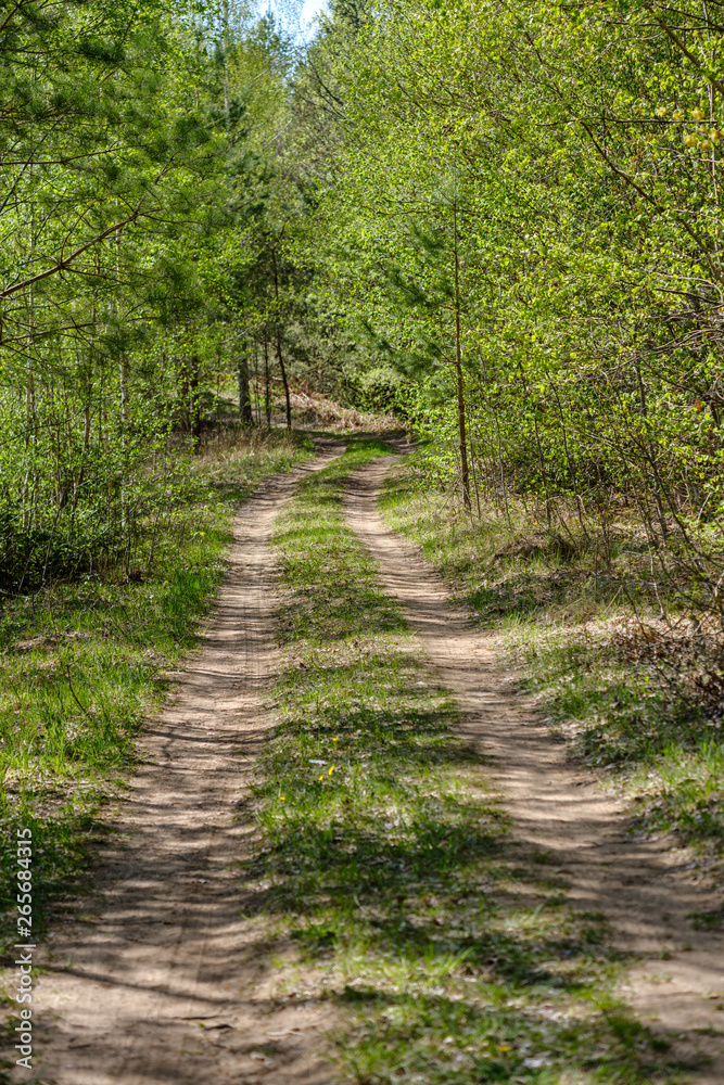 beautiful gravel road in countryside