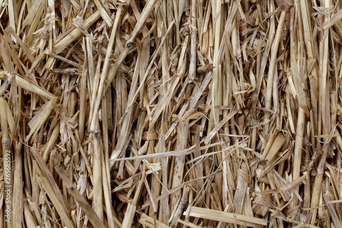 A close view of the bale of straw texture.