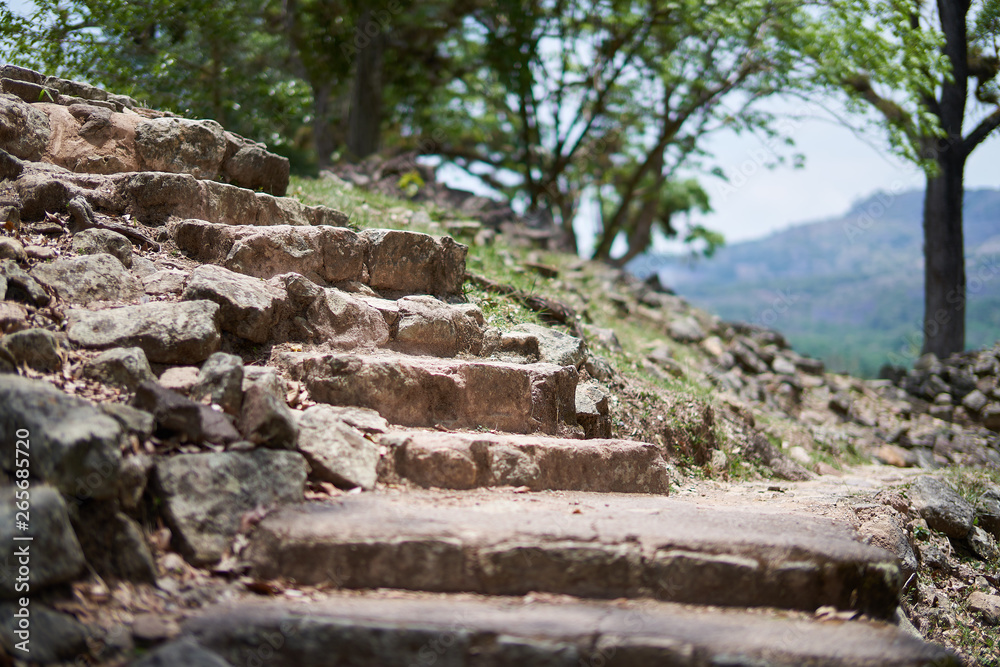 Ancient stairs and ruins of the civilisation maya. Copan. Honduras.