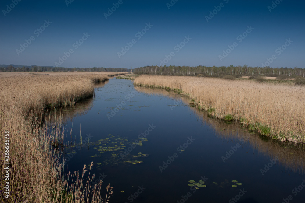 am Federsee bei Bad Buchau