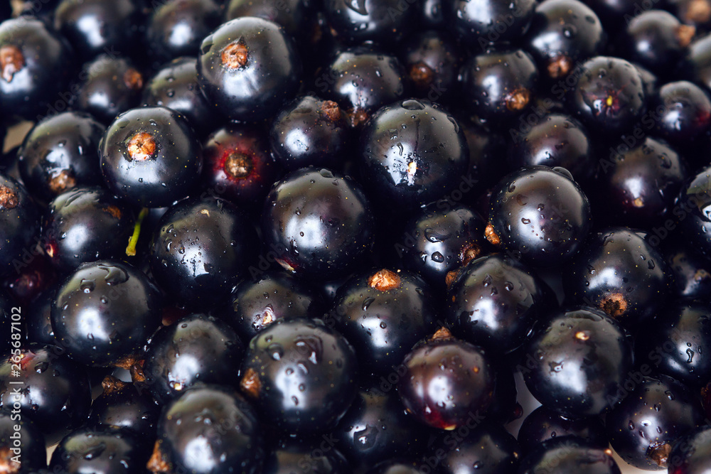 berries black currant, natural background for design berries black currant, natural background for design