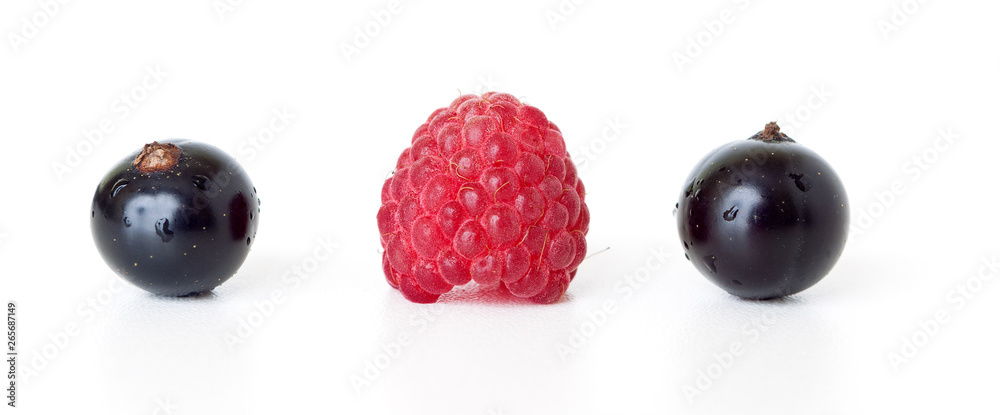 ripe black currant and raspberry berries on a white background ripe black currant and raspberry berries on a white background