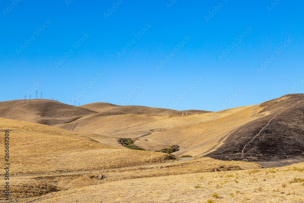 Charred fields in the Californian countryside following a fire due to drought