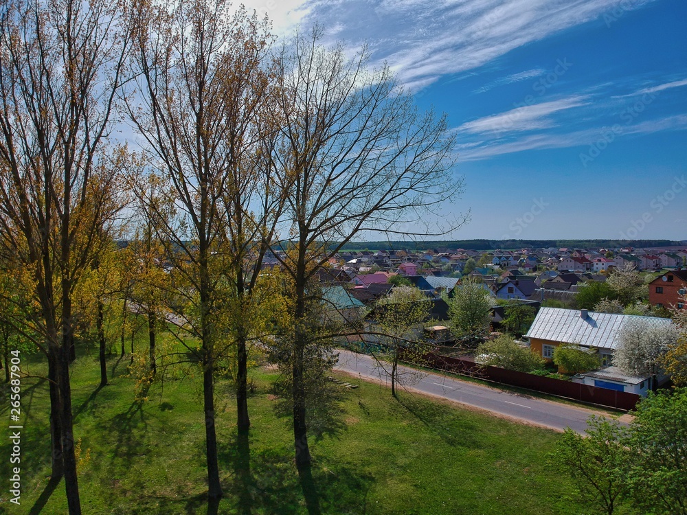 landscape with trees and blue sky in Minsk Region of Belarus