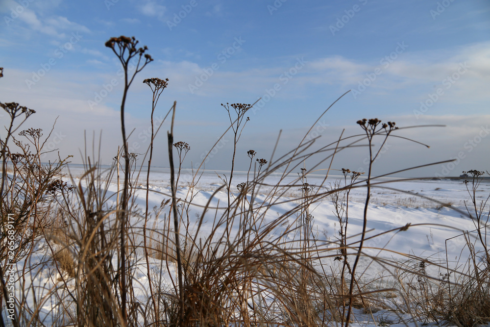 Obraz premium Winterlandschaft an der Nordsee bei Sonne
