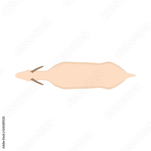 Goat top view agriculture wild farming animal vector. Silhouette flat mammal shape