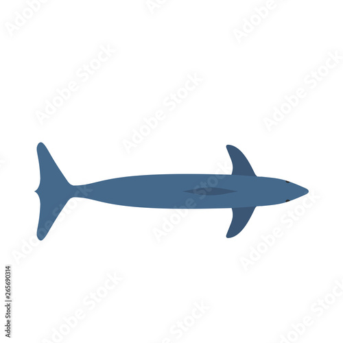 Dolphin blue mammal art graphic symbol vector icon. Animal sea aquarium show illustration top view.