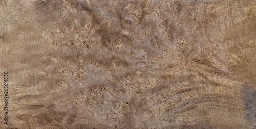 Photos Nature salao burl wood striped for Picture prints interior decoration car, Exoti